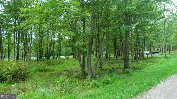 Swanton, MD 21561,0 CROWS POINT RD