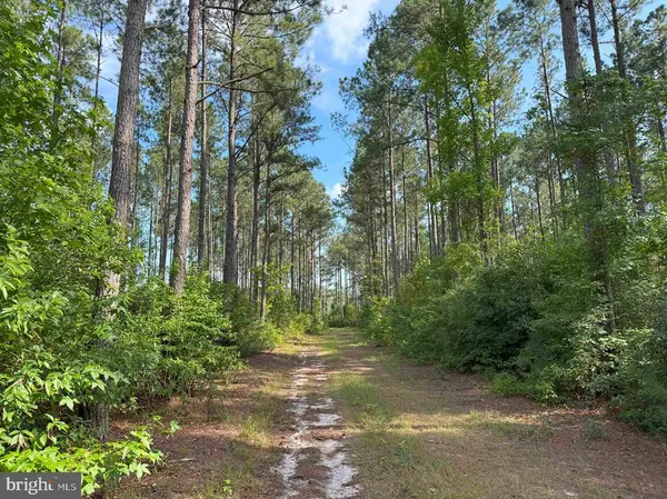 Franklin, VA 23851,BLACK CREEK ROAD (TRACT: CHESAPEAKE SURRY GRIFFIN)