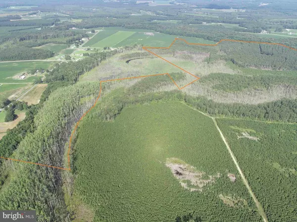 Franklin, VA 23851,BLACK CREEK ROAD (TRACT: CHESAPEAKE SURRY GRIFFIN)