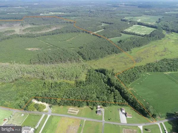 Franklin, VA 23851,BLACK CREEK ROAD (TRACT: CHESAPEAKE SURRY GRIFFIN)