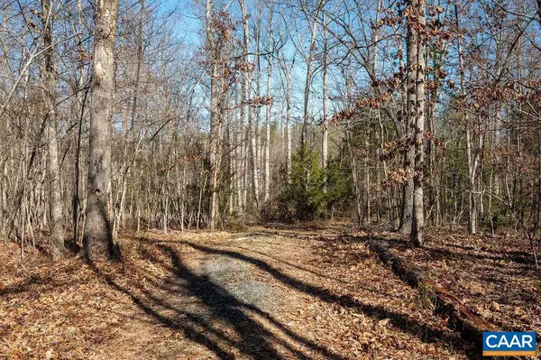 Ruckersville, VA 22968,0 FRAYS MILL RD