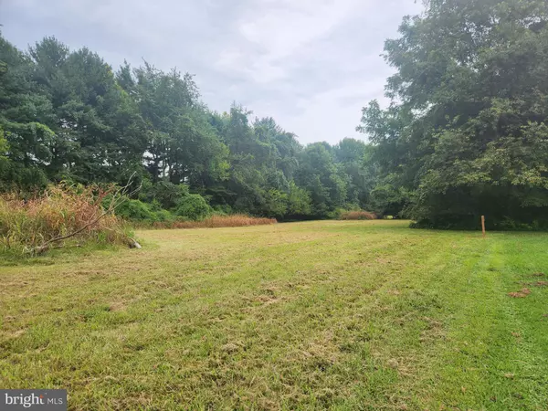 Wye Mills, MD 21679,13433-13433 OCEAN GATEWAY #LOT 1
