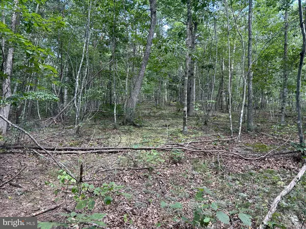 GUN BARREL LANE, Winchester, VA 22603