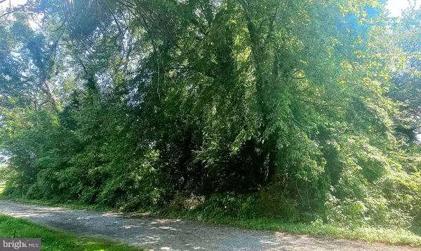 Dover, DE 19904,0 COVE ROAD