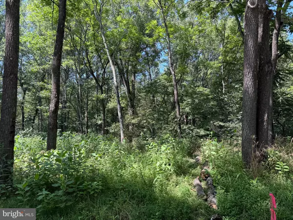 Forest, VA 24551,1 MAYS FARM RD