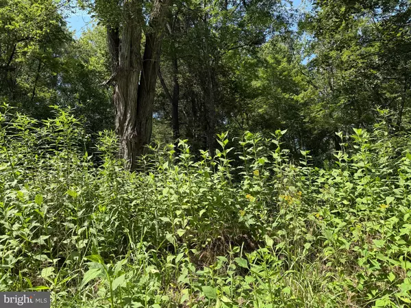 Forest, VA 24551,2 MAYS FARM RD