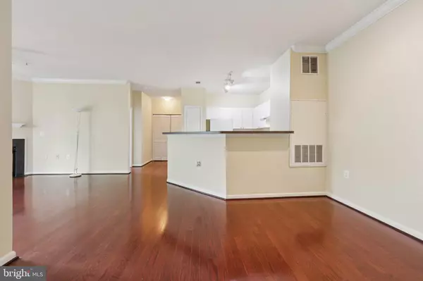 Fairfax, VA 22030,11355 ARISTOTLE DR #8-313