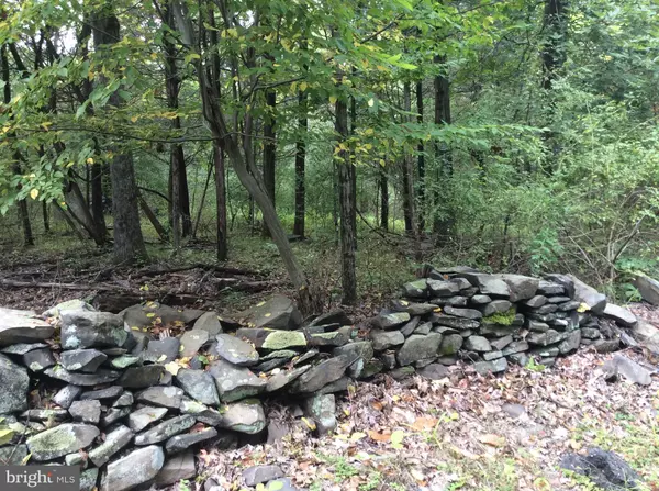 Stockton, NJ 08559,81 UPPER CREEK