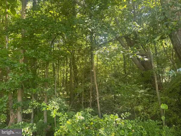 Rock Hall, MD 21661,ALLENS LN