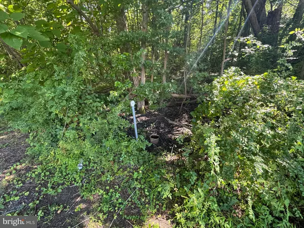 Rock Hall, MD 21661,ALLENS LN