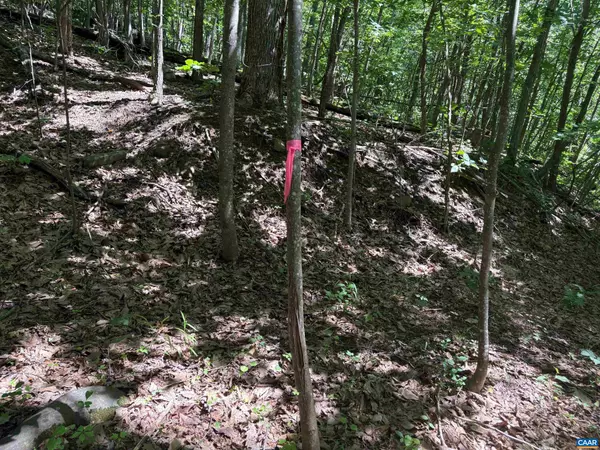 Culpeper, VA 22701,TM 42-1C BEAHM TOWN RD #1C