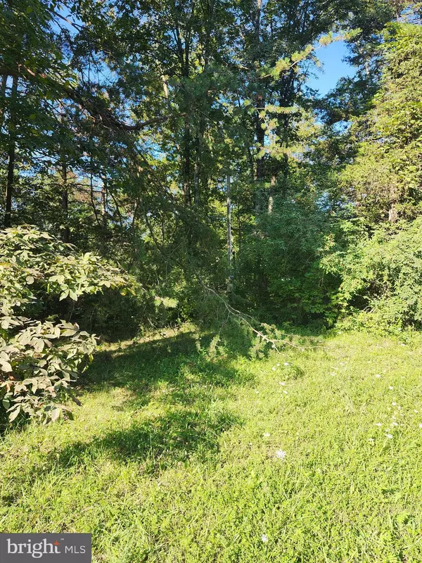 Delray, WV 26714,LOT 79 MYSTIC MOUNTAIN BLVD
