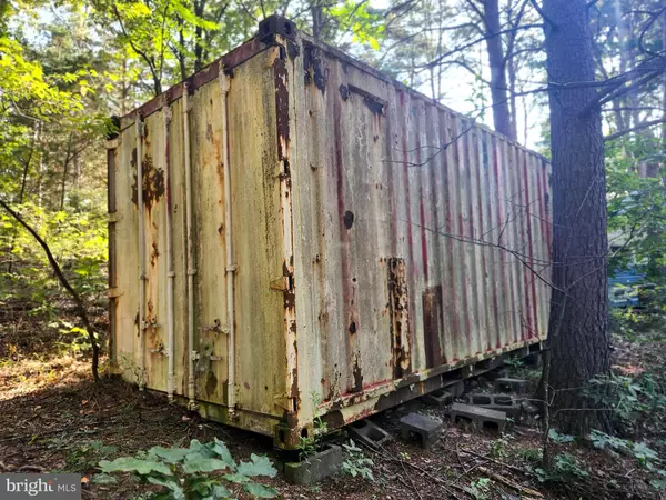 Delray, WV 26714,LOT 79 MYSTIC MOUNTAIN BLVD