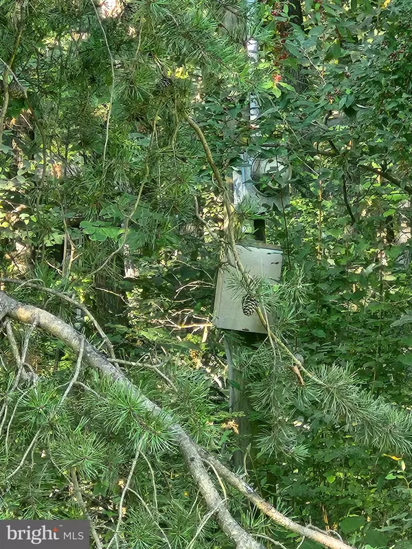 Delray, WV 26714,LOT 79 MYSTIC MOUNTAIN BLVD