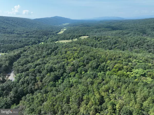 Romney, WV 26757,11.79 AC W HAMILTON ESTATES DR