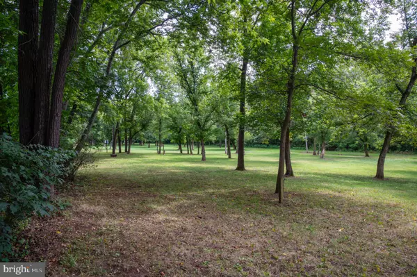 Front Royal, VA 22630,0 (LOT 19) BURMA RD