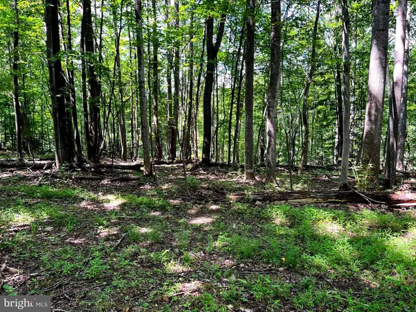 Boyce, VA 22620,PIONEER LN