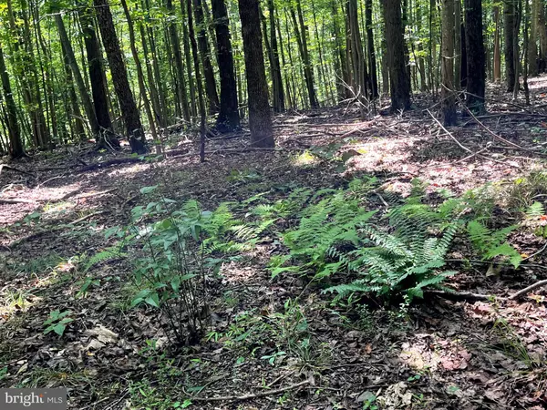 Boyce, VA 22620,PIONEER LN