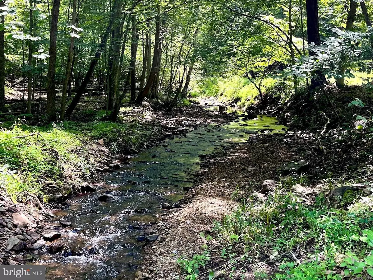 Boyce, VA 22620,PIONEER LN