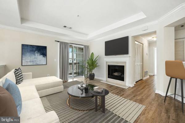 Ashburn, VA 20147,45061 BRAE TER #202