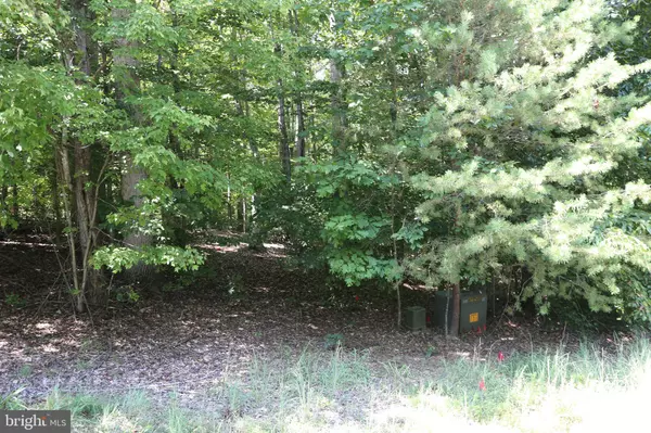 Mineral, VA 23117,LOT 119 FISHER DRIVE