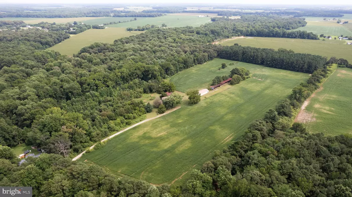 Preston, MD 21655,22109 TANYARD RD