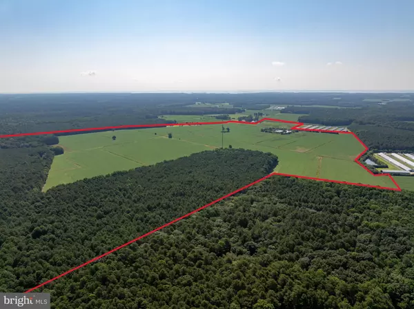 Pocomoke City, MD 21851,3203 BETHEDEN CHURCH RD