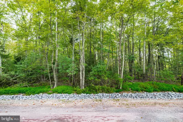 Pocono Lake, PA 18347,812 BEAVER RUN
