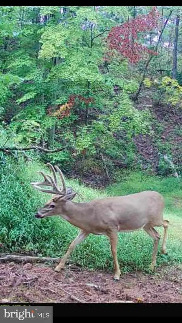 Hyndman, PA 15545,TIGER VALLEY RD