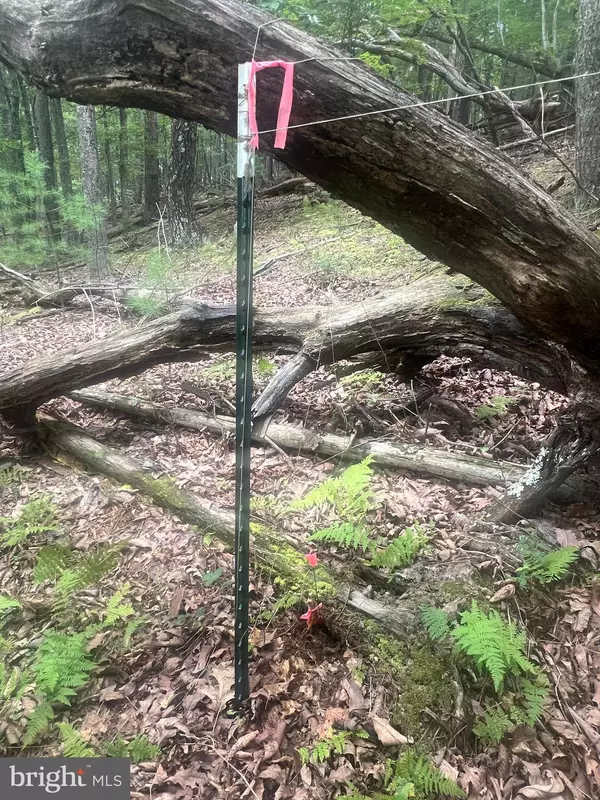 Mount Jackson, VA 22842,TIMBER RIDGE