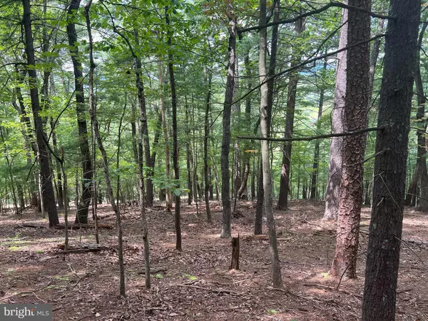 Mount Jackson, VA 22842,TIMBER RIDGE