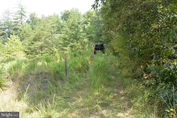 Cross Junction, VA 22625,BRUSH CREEK RD #30+ ACRES