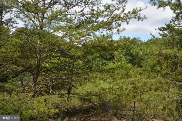 Cross Junction, VA 22625,BRUSH CREEK RD #30+ ACRES