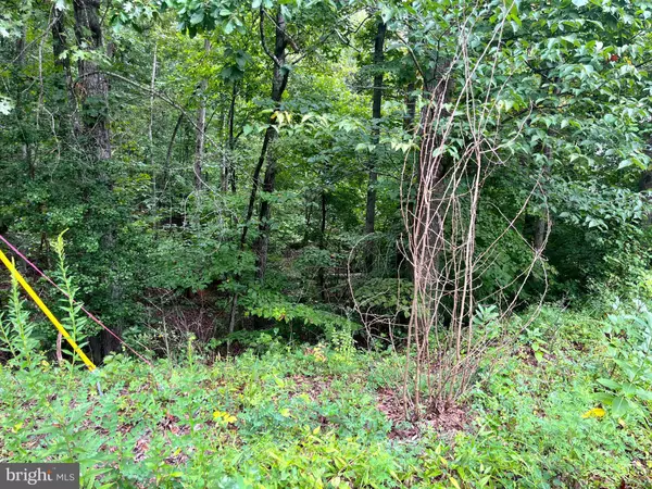 Stafford, VA 22554,202 SAIL CV