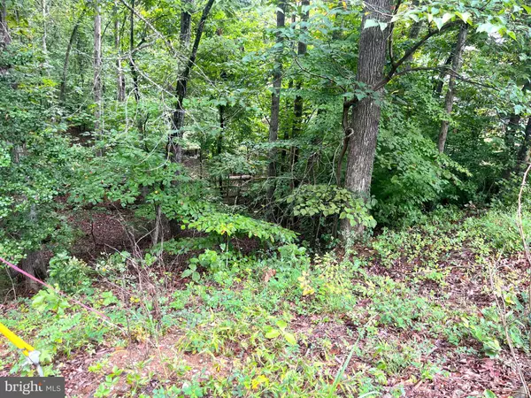 Stafford, VA 22554,202 SAIL CV