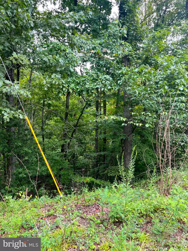 Stafford, VA 22554,202 SAIL CV