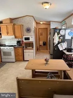 Millsboro, DE 19966,25920 ATLAS ST #53011