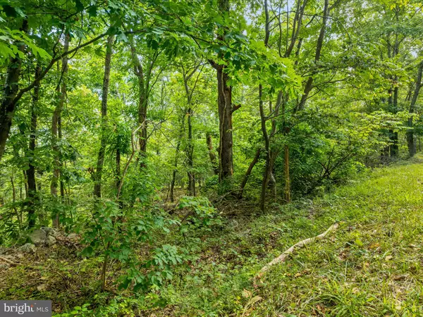 Luray, VA 22835,0 FORT VALLEY