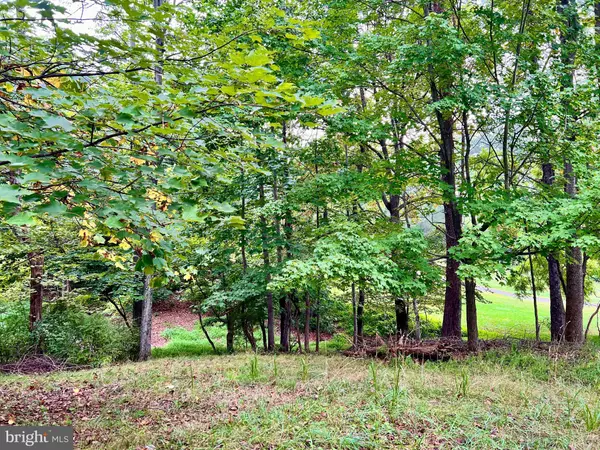LOT 12 WAMPUM LN, Hedgesville, WV 25427