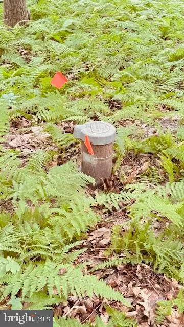 Westminster, MD 21158,0 KIRKHOFF