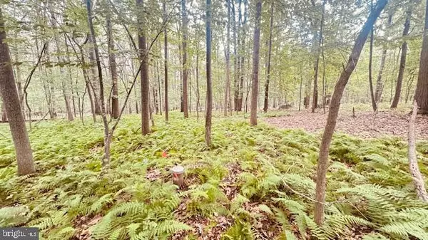 Westminster, MD 21158,0 KIRKHOFF