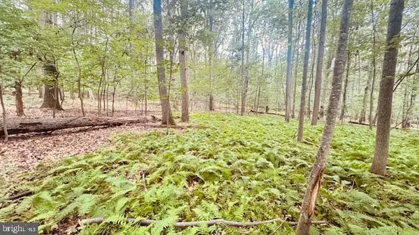 Westminster, MD 21158,0 KIRKHOFF