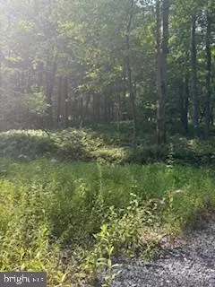 Fairfield, PA 17320,LOTS 1,2,3 FIVE FORKS LN