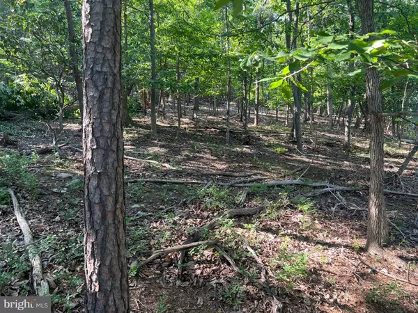 Haymarket, VA 20169,2608 JACKSON DR