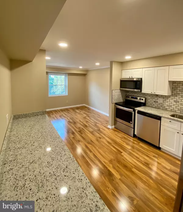 Lutherville Timonium, MD 21093,1 LOUGH MASK CT #302