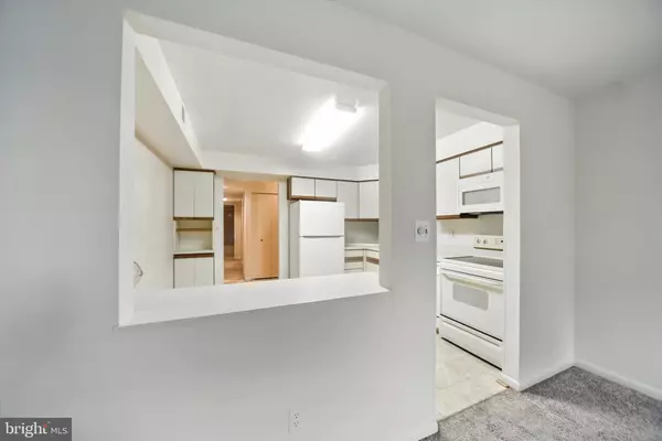 Lutherville Timonium, MD 21093,2 BROOKING CT #101