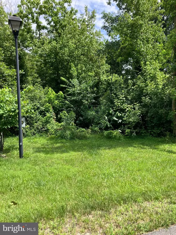 Shepherdstown, WV 25443,N TAMARAC DR