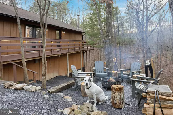 Basye, VA 22810,43 MINK CT