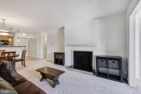 Oakton, VA 22124,3176 SUMMIT SQUARE DR #4-E3