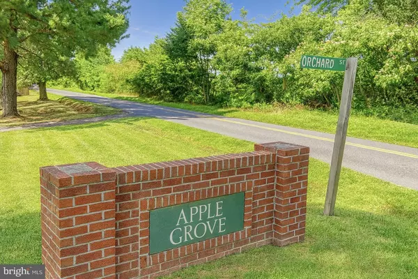 Locust Grove, VA 22508,ORCHARD ST
